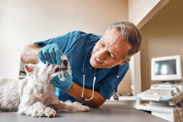Best Emergency Dental Care for Abscessed Tooth in St Simons, GA